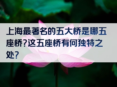上海最著名的五大桥是哪五座桥？这五座桥有何独特之处？
