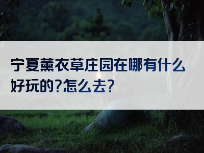 宁夏薰衣草庄园在哪有什么好玩的？怎么去？