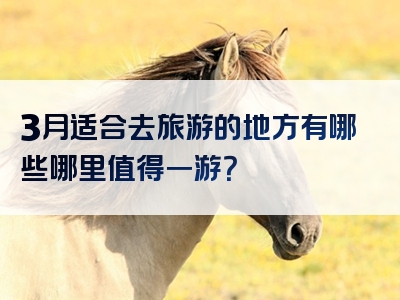3月适合去旅游的地方有哪些哪里值得一游？