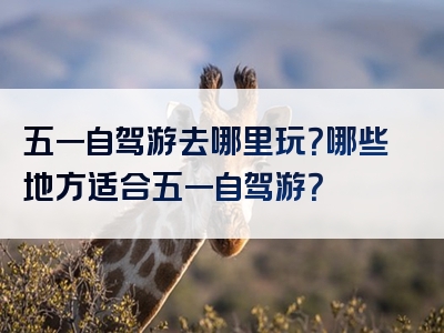 五一自驾游去哪里玩？哪些地方适合五一自驾游？