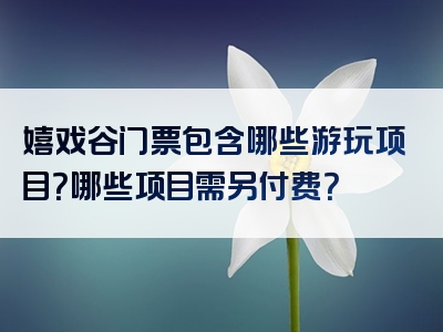 嬉戏谷门票包含哪些游玩项目？哪些项目需另付费？