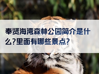 奉贤海湾森林公园简介是什么？里面有哪些景点？