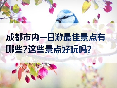 成都市内一日游最佳景点有哪些？这些景点好玩吗？