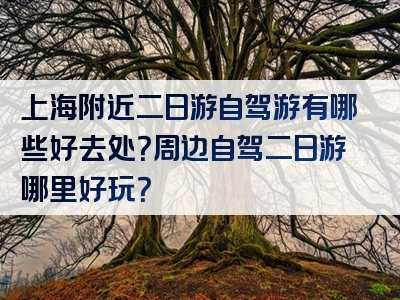 上海附近二日游自驾游有哪些好去处？周边自驾二日游哪里好玩？