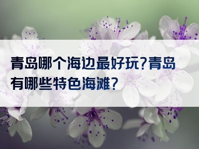 青岛哪个海边最好玩？青岛有哪些特色海滩？