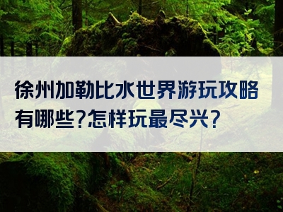 徐州加勒比水世界游玩攻略有哪些？怎样玩最尽兴？