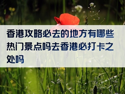 香港攻略必去的地方有哪些热门景点吗去香港必打卡之处吗