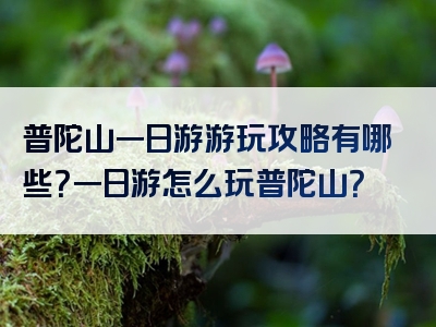 普陀山一日游游玩攻略有哪些？一日游怎么玩普陀山？