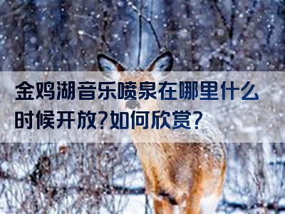 金鸡湖音乐喷泉在哪里什么时候开放？如何欣赏？