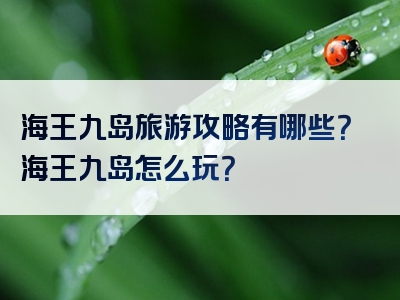 海王九岛旅游攻略有哪些？海王九岛怎么玩？