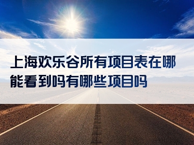 上海欢乐谷所有项目表在哪能看到吗有哪些项目吗