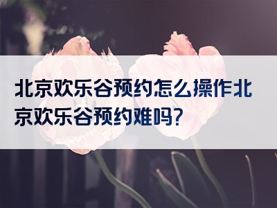 北京欢乐谷预约怎么操作北京欢乐谷预约难吗？