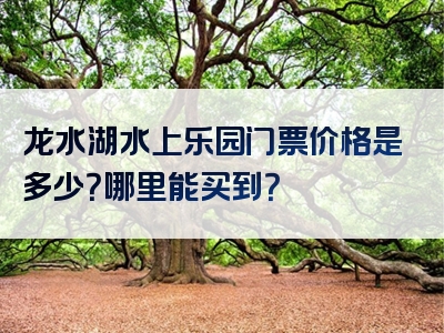 龙水湖水上乐园门票价格是多少？哪里能买到？