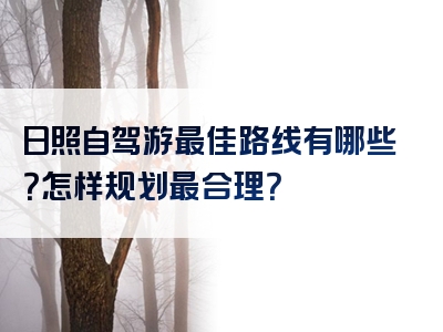 日照自驾游最佳路线有哪些？怎样规划最合理？