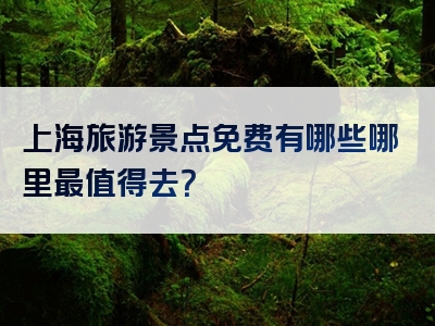上海旅游景点免费有哪些哪里最值得去？