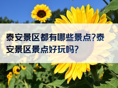 泰安景区都有哪些景点？泰安景区景点好玩吗？