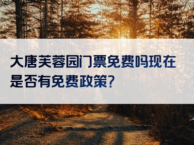 大唐芙蓉园门票免费吗现在是否有免费政策？
