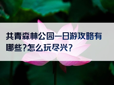 共青森林公园一日游攻略有哪些？怎么玩尽兴？