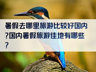 暑假去哪里旅游比较好国内？国内暑假旅游佳地有哪些？