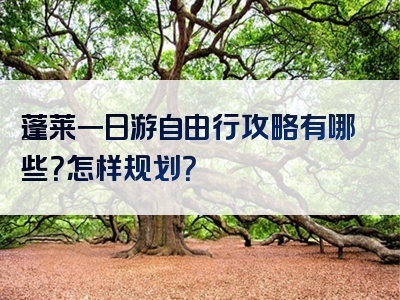 蓬莱一日游自由行攻略有哪些？怎样规划？