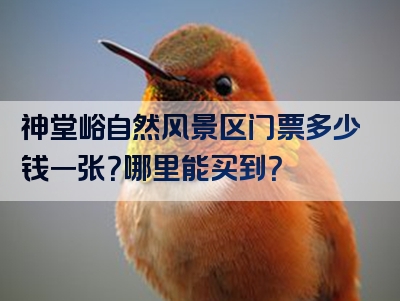 神堂峪自然风景区门票多少钱一张？哪里能买到？