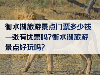 衡水湖旅游景点门票多少钱一张有优惠吗？衡水湖旅游景点好玩吗？