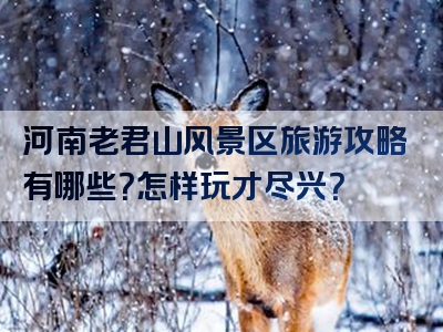 河南老君山风景区旅游攻略有哪些？怎样玩才尽兴？