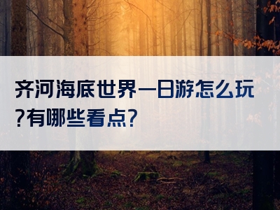 齐河海底世界一日游怎么玩？有哪些看点？