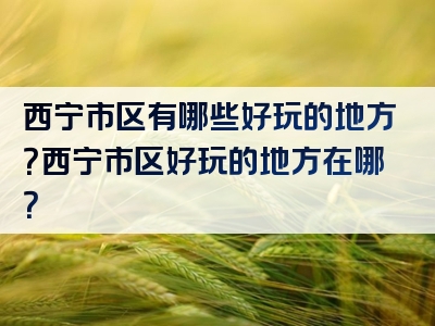 西宁市区有哪些好玩的地方？西宁市区好玩的地方在哪？