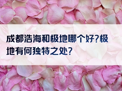 成都浩海和极地哪个好？极地有何独特之处？