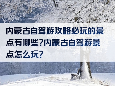 内蒙古自驾游攻略必玩的景点有哪些？内蒙古自驾游景点怎么玩？