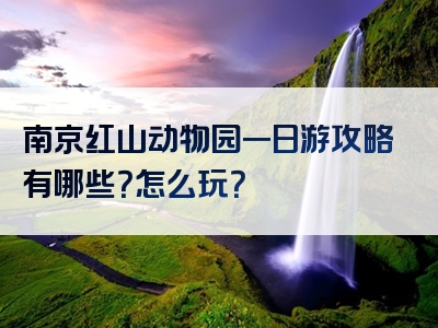 南京红山动物园一日游攻略有哪些？怎么玩？