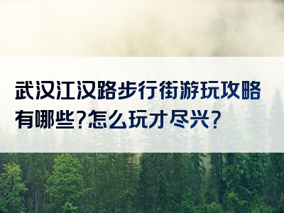 武汉江汉路步行街游玩攻略有哪些？怎么玩才尽兴？