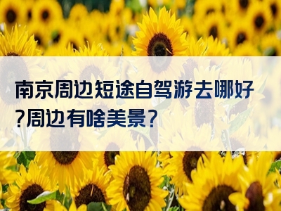 南京周边短途自驾游去哪好？周边有啥美景？
