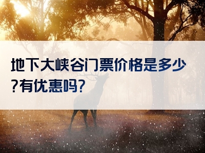 地下大峡谷门票价格是多少？有优惠吗？
