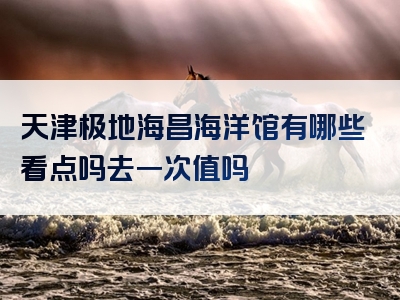 天津极地海昌海洋馆有哪些看点吗去一次值吗