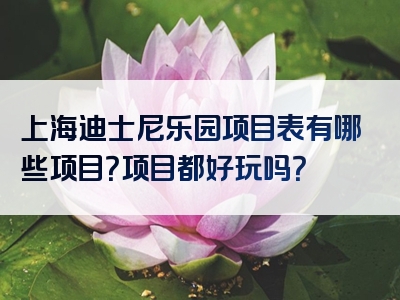 上海迪士尼乐园项目表有哪些项目？项目都好玩吗？