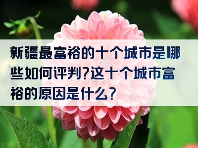 新疆最富裕的十个城市是哪些如何评判？这十个城市富裕的原因是什么？