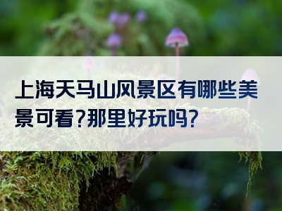 上海天马山风景区有哪些美景可看？那里好玩吗？