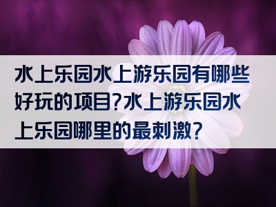水上乐园水上游乐园有哪些好玩的项目？水上游乐园水上乐园哪里的最刺激？
