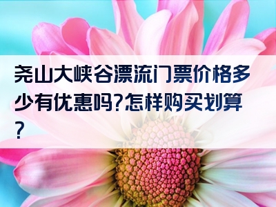 尧山大峡谷漂流门票价格多少有优惠吗？怎样购买划算？