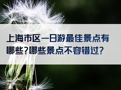 上海市区一日游最佳景点有哪些？哪些景点不容错过？