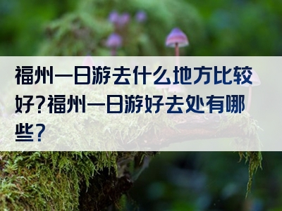 福州一日游去什么地方比较好？福州一日游好去处有哪些？