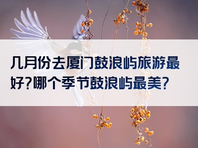 几月份去厦门鼓浪屿旅游最好？哪个季节鼓浪屿最美？