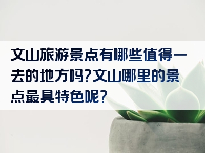 文山旅游景点有哪些值得一去的地方吗？文山哪里的景点最具特色呢？