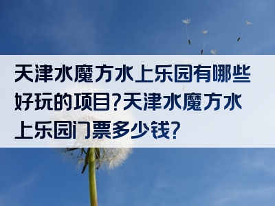 天津水魔方水上乐园有哪些好玩的项目？天津水魔方水上乐园门票多少钱？