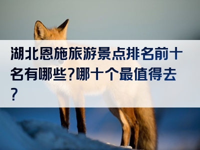 湖北恩施旅游景点排名前十名有哪些？哪十个最值得去？