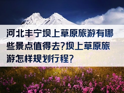河北丰宁坝上草原旅游有哪些景点值得去？坝上草原旅游怎样规划行程？