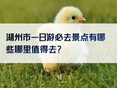 湖州市一日游必去景点有哪些哪里值得去？