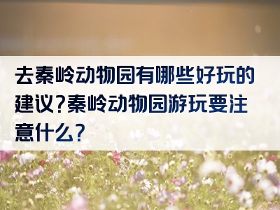 去秦岭动物园有哪些好玩的建议？秦岭动物园游玩要注意什么？